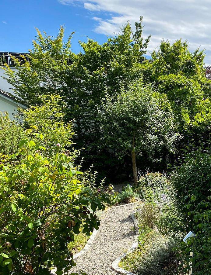 Gîte pour 2 personnes, avec vue et jardin à Lahr - 4