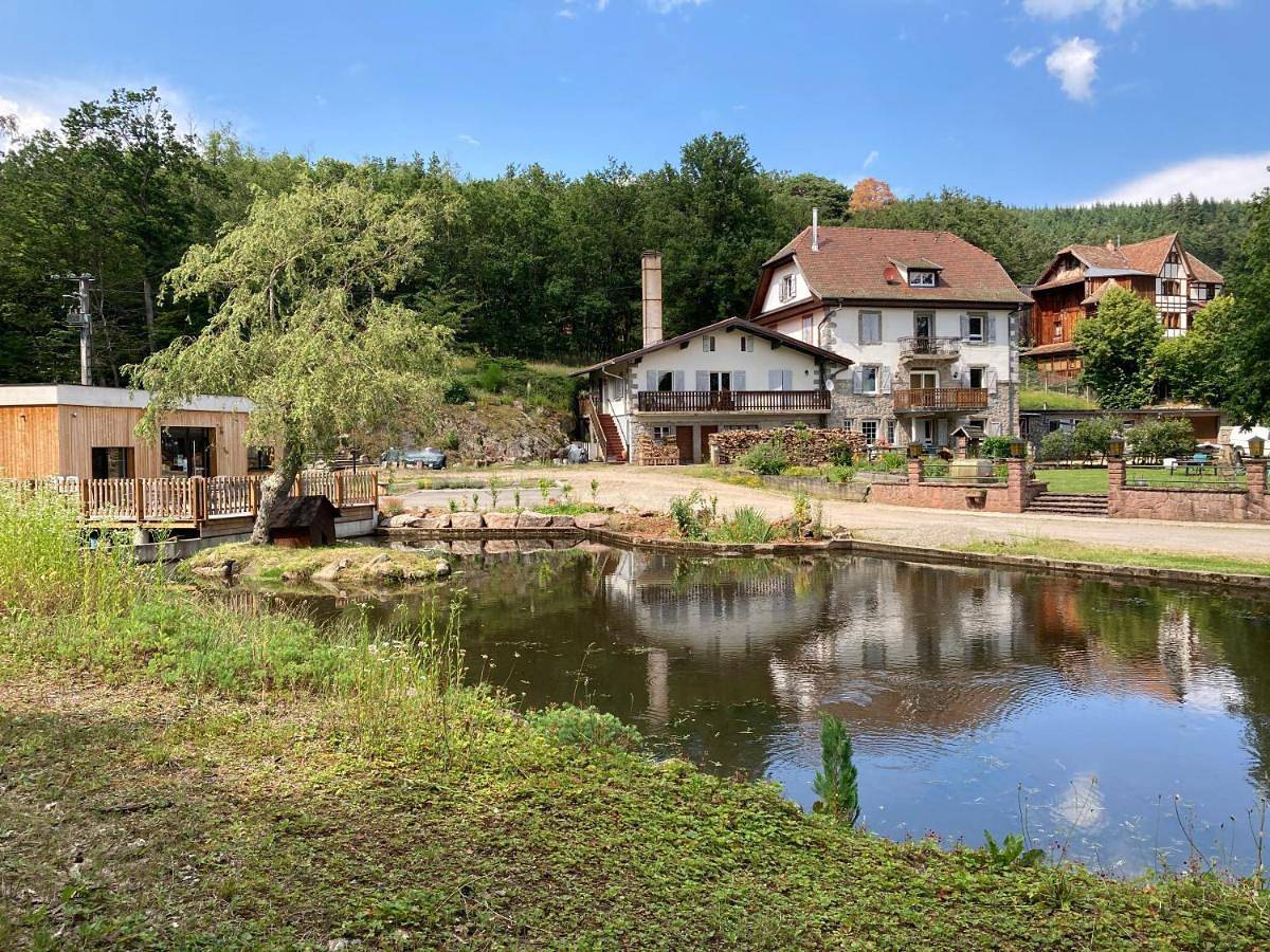 Double Room with Balcony in Bergheim, Parc naturel régional des Ballons des Vosges