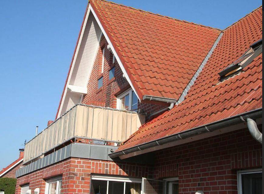 Seestern — Bild 2