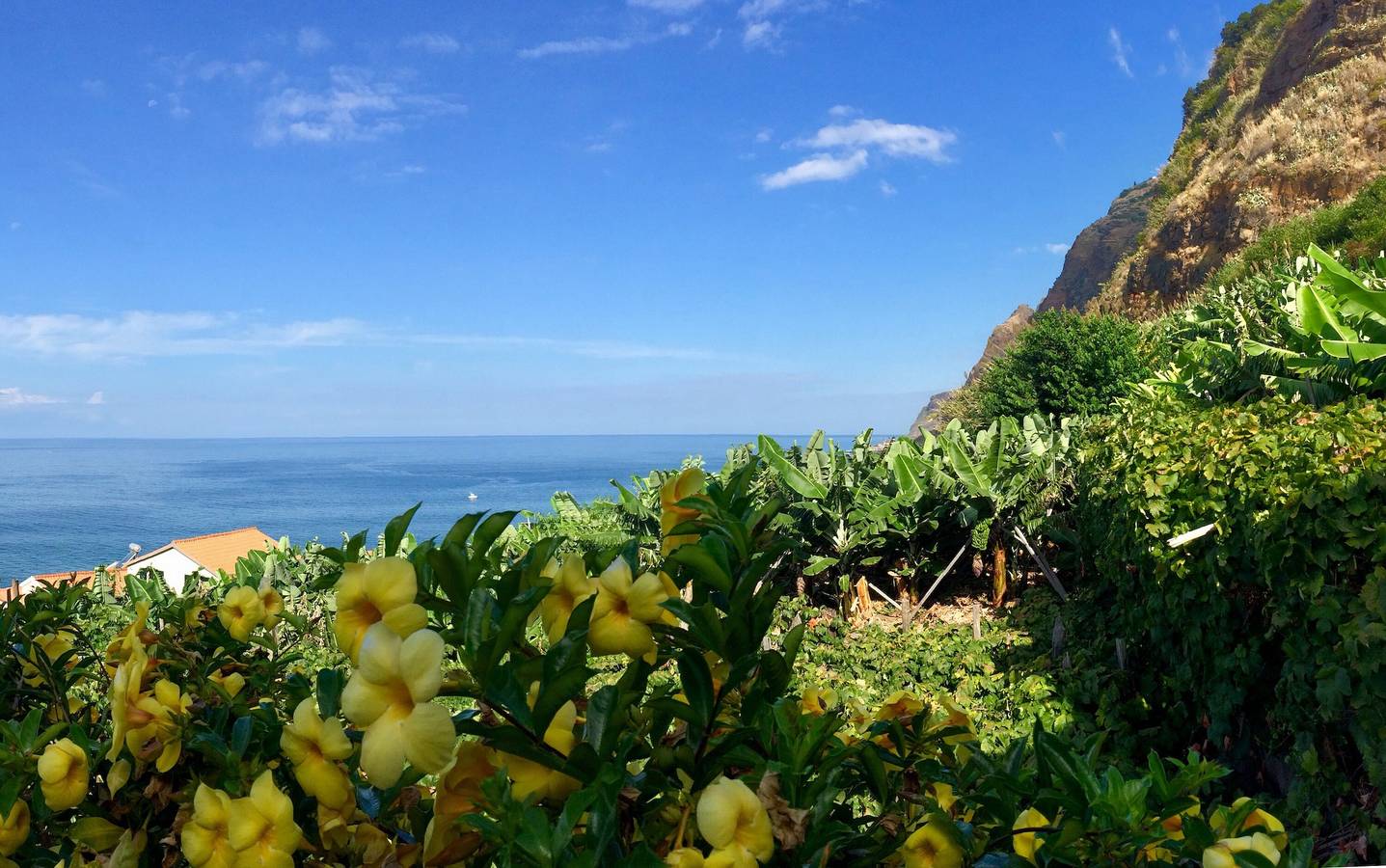 Ferienhaus 'Slice Of Heaven- Dream' mit Meerblick, Gemeinschaftsgarten & Wlan in Jardim do Mar, Madeira
