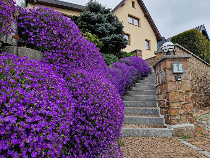 Ferienwohnung für 4 Personen, mit Terrasse, kinderfreundlich in Olbernhau - 3