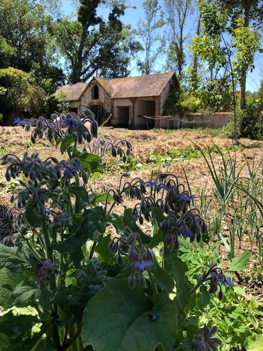 Gîte pour 4 personnes, avec vue et jardin, animaux acceptés dans Chaudon - 2