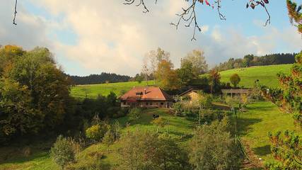 Ferienwohnung für 2 Personen, mit Garten in Elzach
