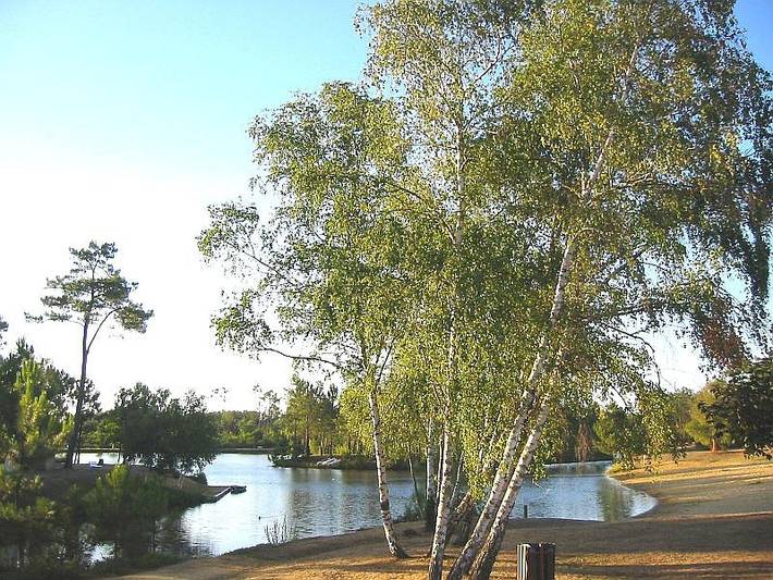 Location de vacances pour 18 personnes, avec jardin dans Lac du Baron Desqueyroux - 2