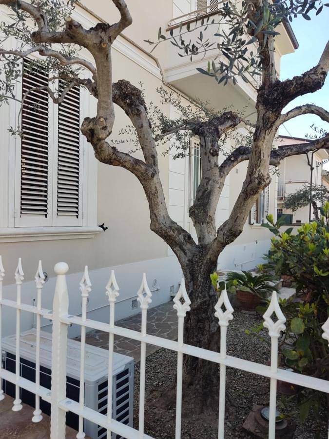 Gîte pour 5 personnes, avec jardin à Empoli - 2