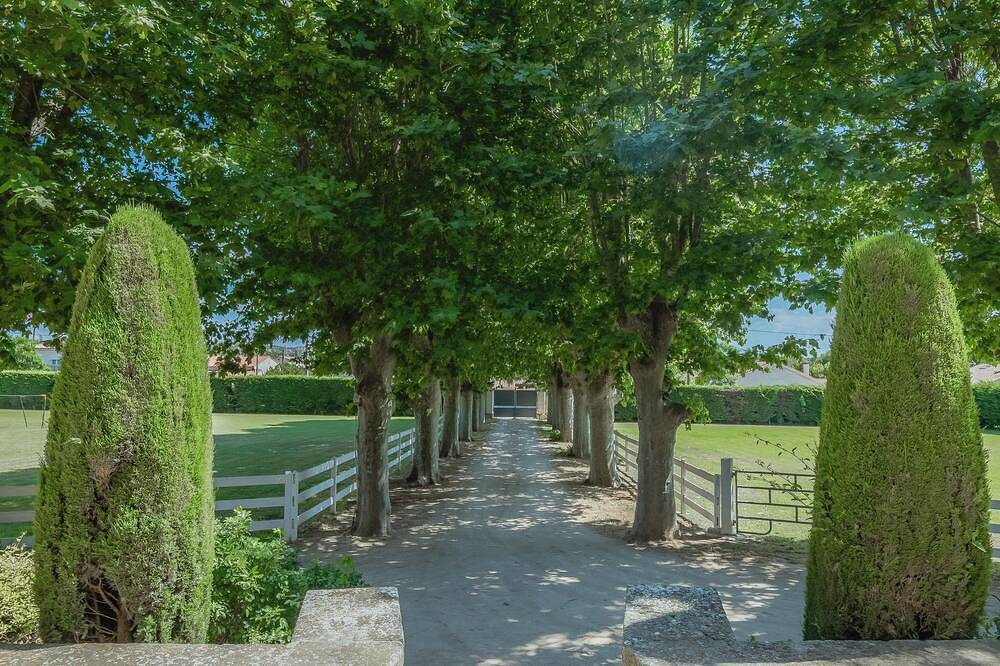 Guest rooms with Jacuzzi and swimming pool in Saint-Victoret, Istres region