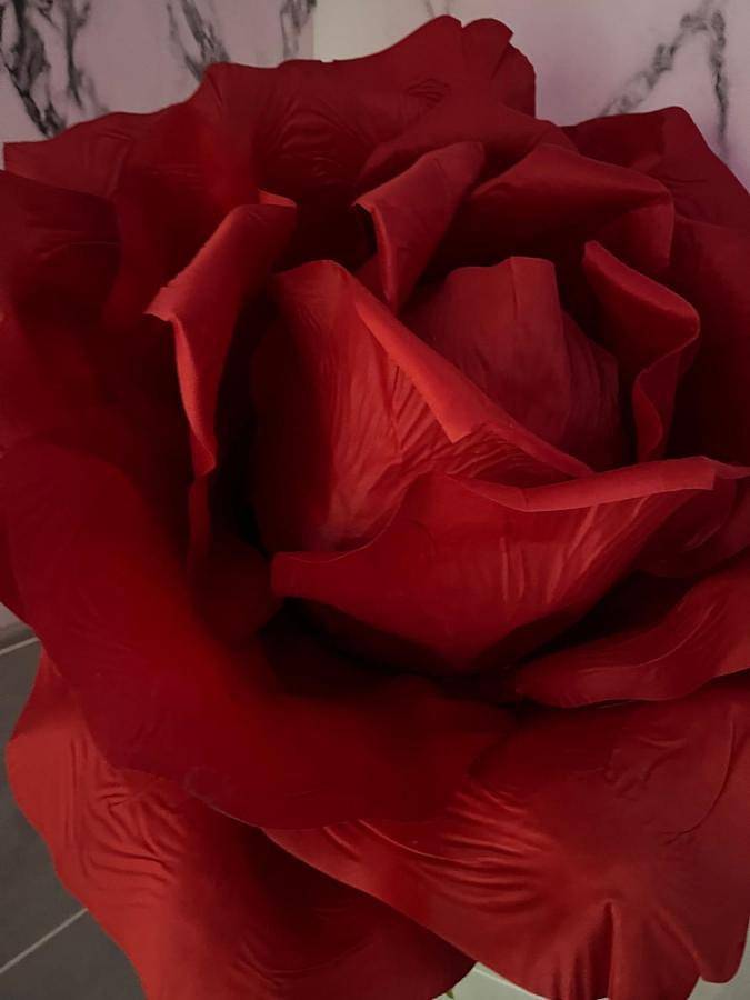 Location de vacances pour 2 personnes, avec jacuzzi à Cherbonnières - 4