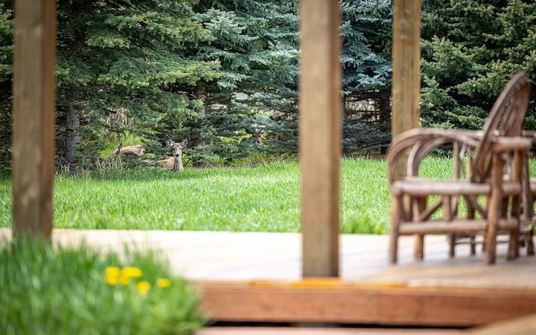 Location de vacances pour 8 personnes, avec balcon à Wapiti