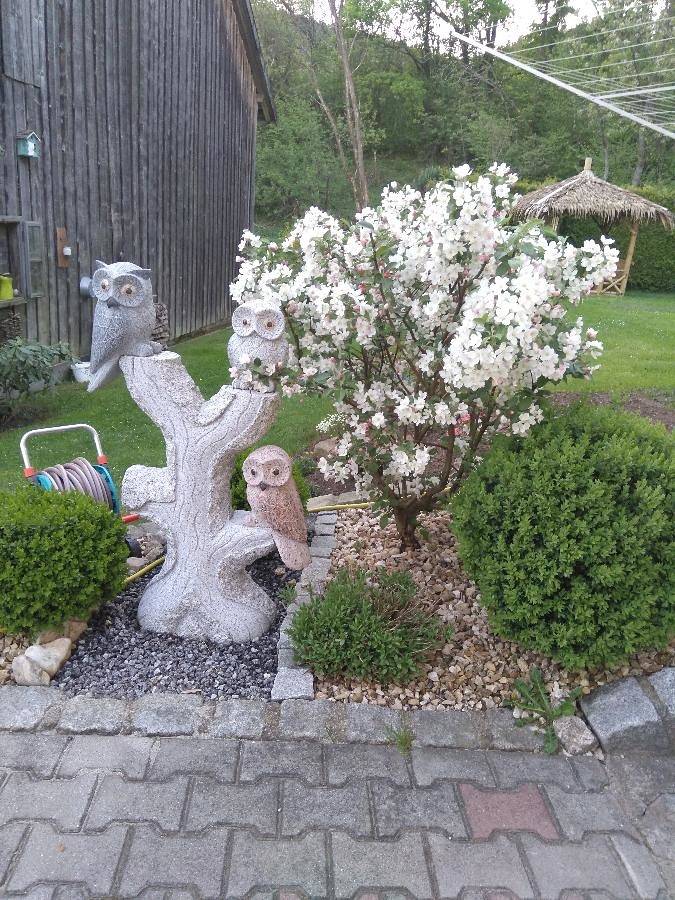 Ferienhaus für 5 Personen, mit Garten im Bayerischer Wald - 3