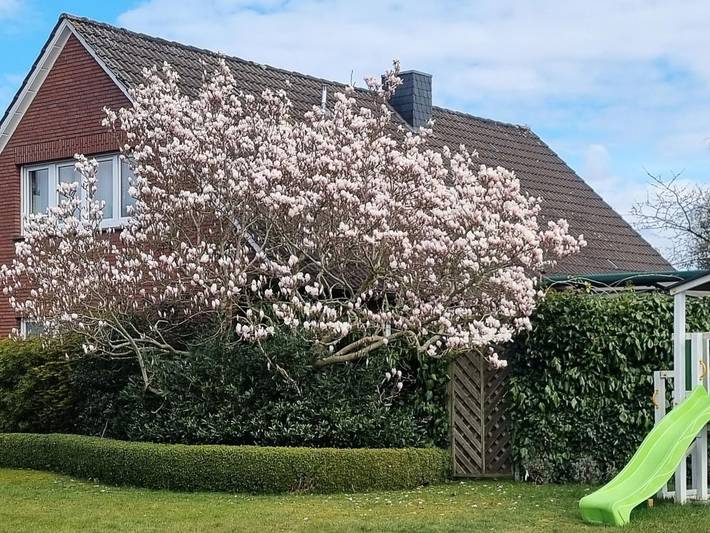 Ferienwohnung für 3 Personen, mit Balkon und Garten in Westerstede - 2