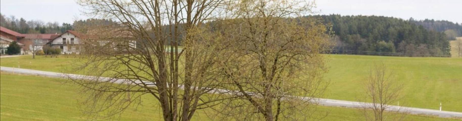 Appartement entier, Appartement « Traum Im Bayrischen Wald » avec balcon et Wi-Fi in Wiesenfelden, Bavière Orientale