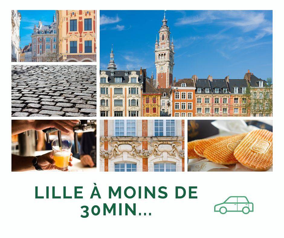 Les coquelicots in Comines, Lille und Umgebung