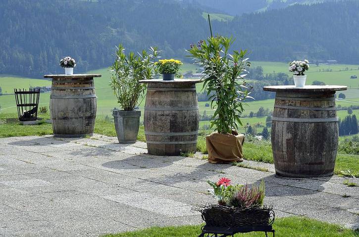 Ferienhaus für 30 Personen, mit Garten, mit Haustier im Salzburger Land - 3