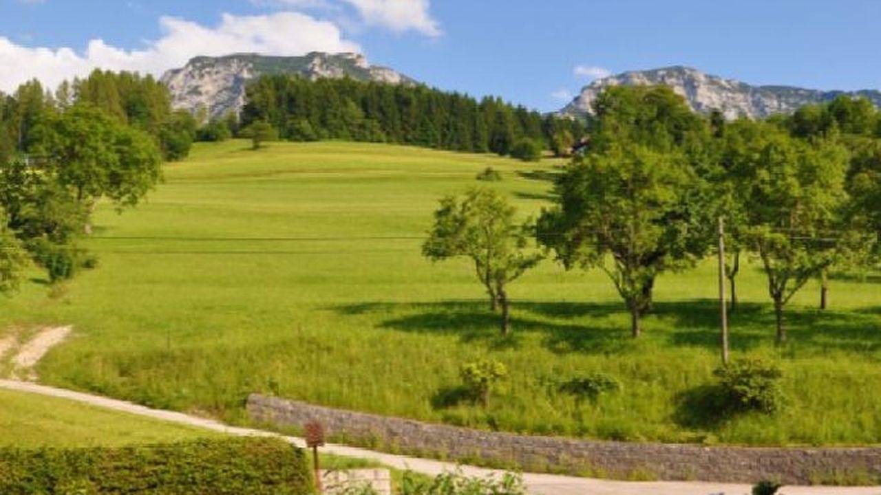 Ganze Ferienwohnung, Ferienwohnung für 3 Personen (42 m²) in Steinbach am Attersee in Salzkammergut-Berge, Steinbach am Attersee