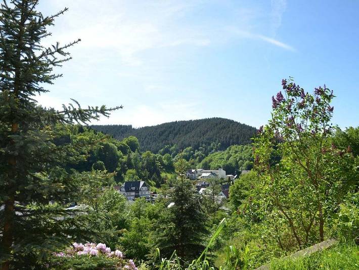 Ferienhaus für 6 Personen, mit Balkon und Garten in Ostthüringen - 2