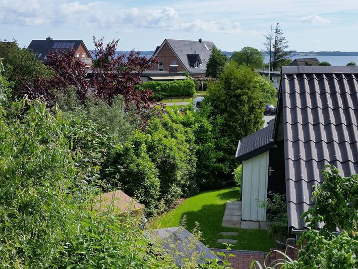 Ferienhaus für 4 Personen, mit Terrasse und Garten, mit Haustier in Halbinsel Holnis - 4