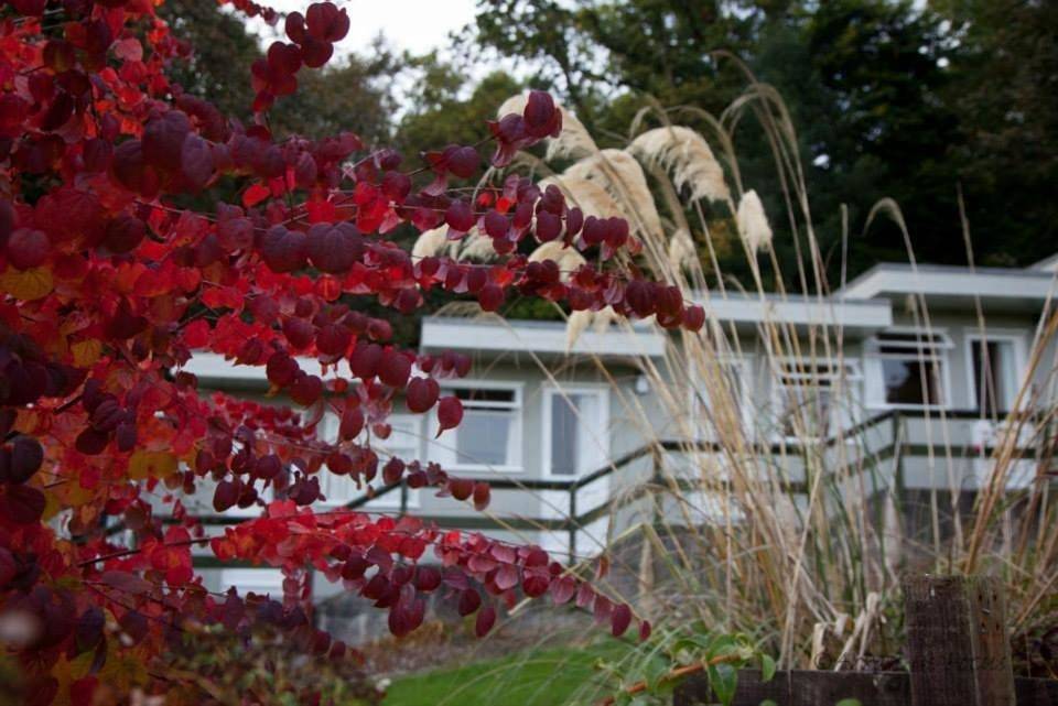 Budget Twin Room in Firth Of Clyde
