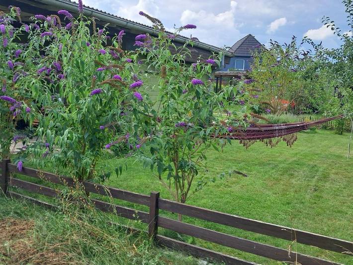 Ferienhaus für 3 Personen, mit Terrasse und Garten in Papendorf - 3