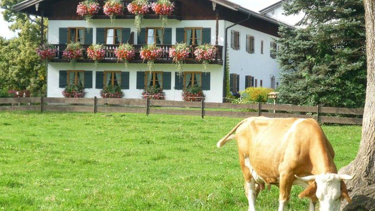 Appartamento intero, Ferienwohnung für 3 Personen (60 m²) in Gmund Am Tegernsee in Gmund, Regione Alpina di Tegernsee e Schliersee