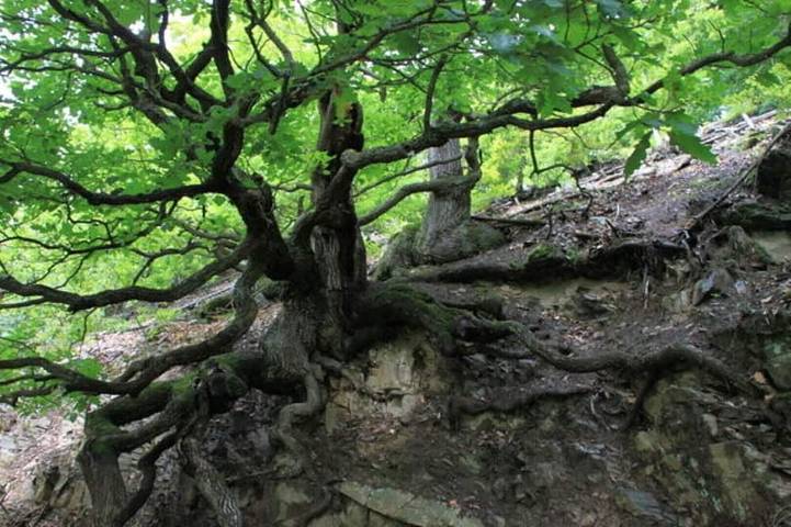 Ferienwohnung für 3 Personen am Edersee