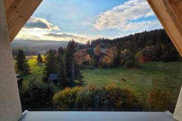 Ferienwohnung für 4 Personen, mit Garten in Grafenhausen