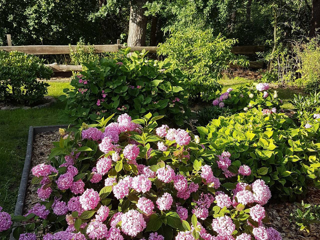 Ganze Ferienwohnung, Lenz Süd Fw 1 - Ferienwohnung 1 in Malchow, Plauer See