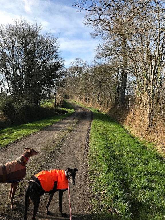 Gîte pour 5 personnes, avec terrasse et jardin, animaux acceptés dans la Manche - 4
