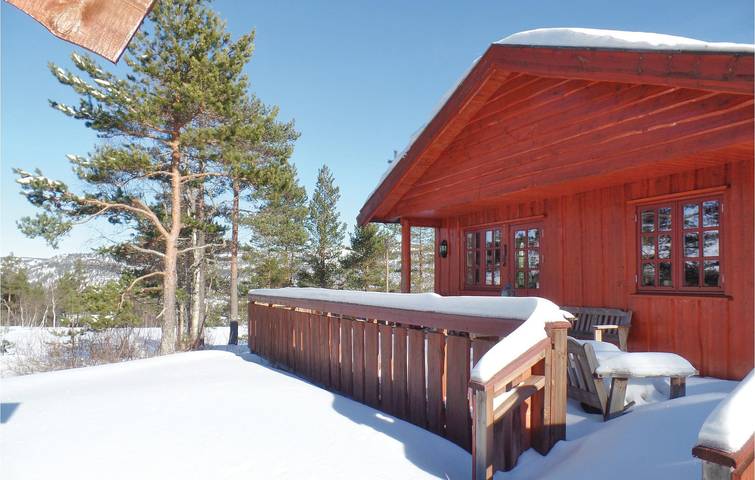 Ferienhaus für 5 Personen in Nissedal