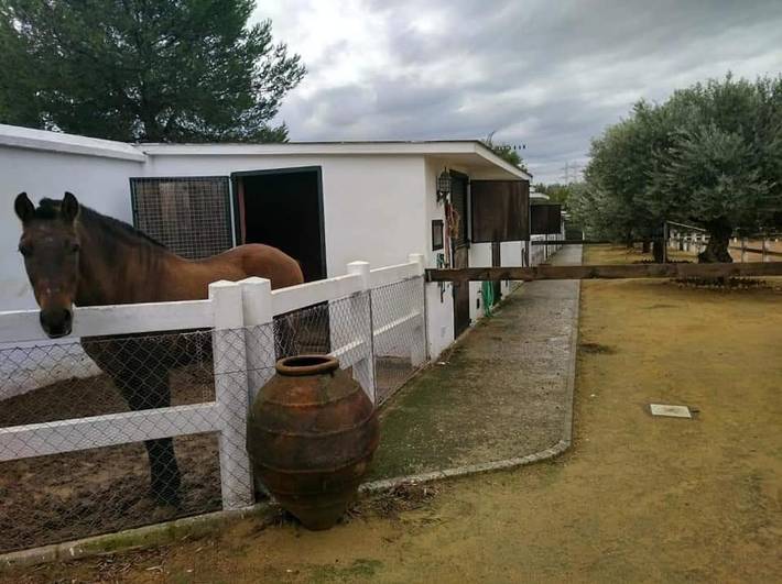 Casa rural para 16 personas, con piscina además de jardín y vistas en Alcalá de Guadaíra - 2