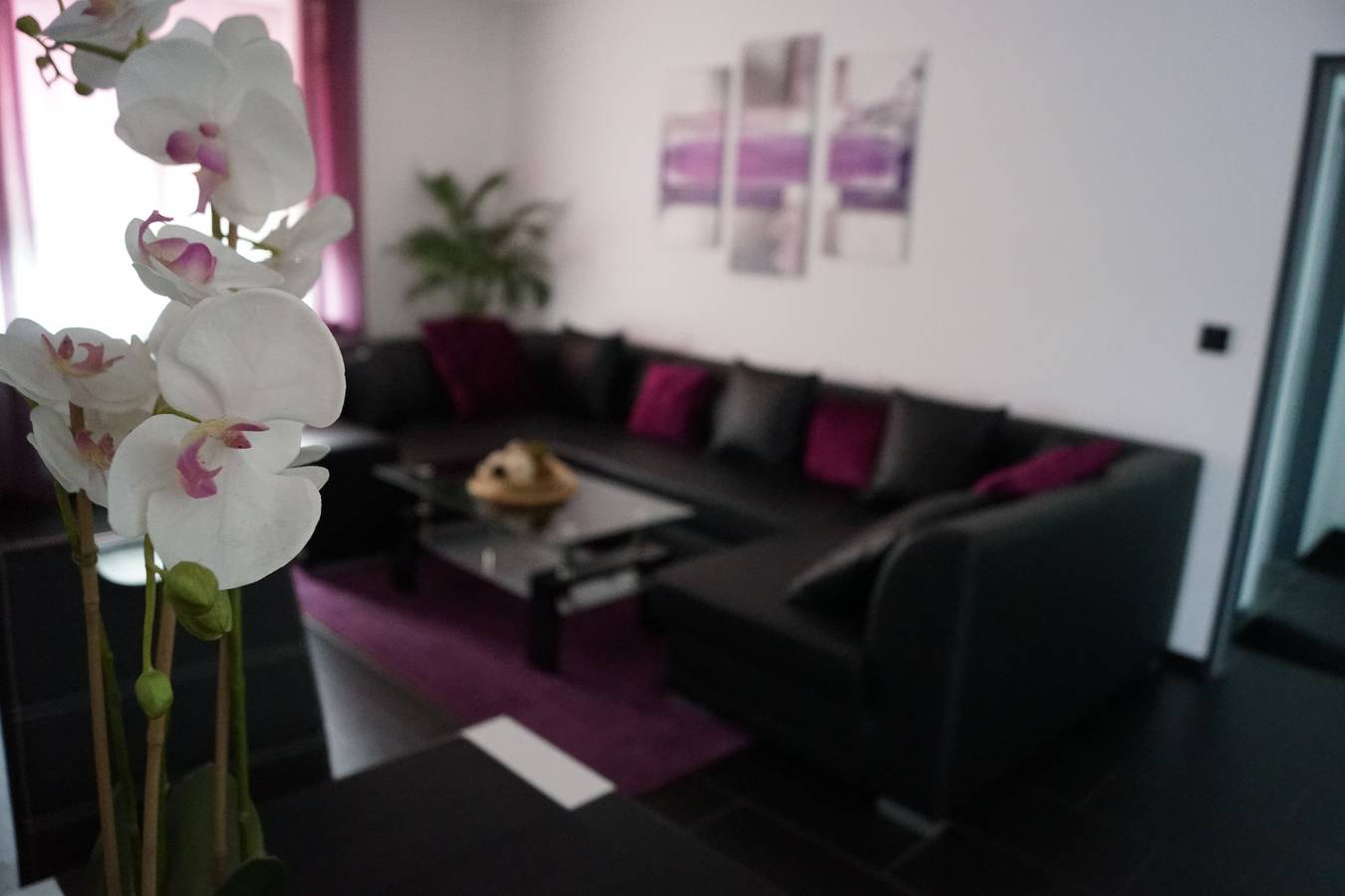 Ganze Ferienwohnung, La Domus Superior Osnabrück Lotte in Lotte, Nordrhein-Westfalen