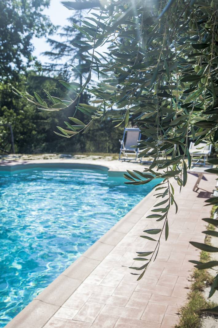 Gîte pour 11 personnes, avec terrasse ainsi que jardin et piscine, animaux acceptés à Colle di Val d'Elsa - 2