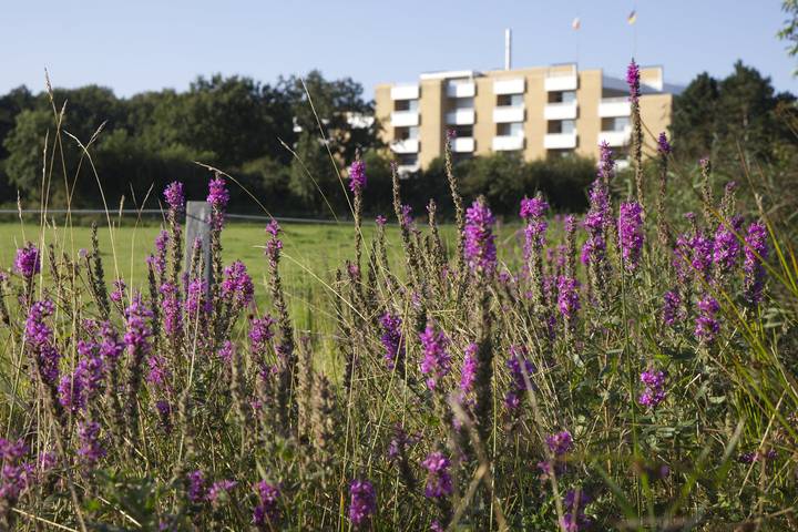 Ferienhaus für 4 Personen, kinderfreundlich in Sahlenburg - 2
