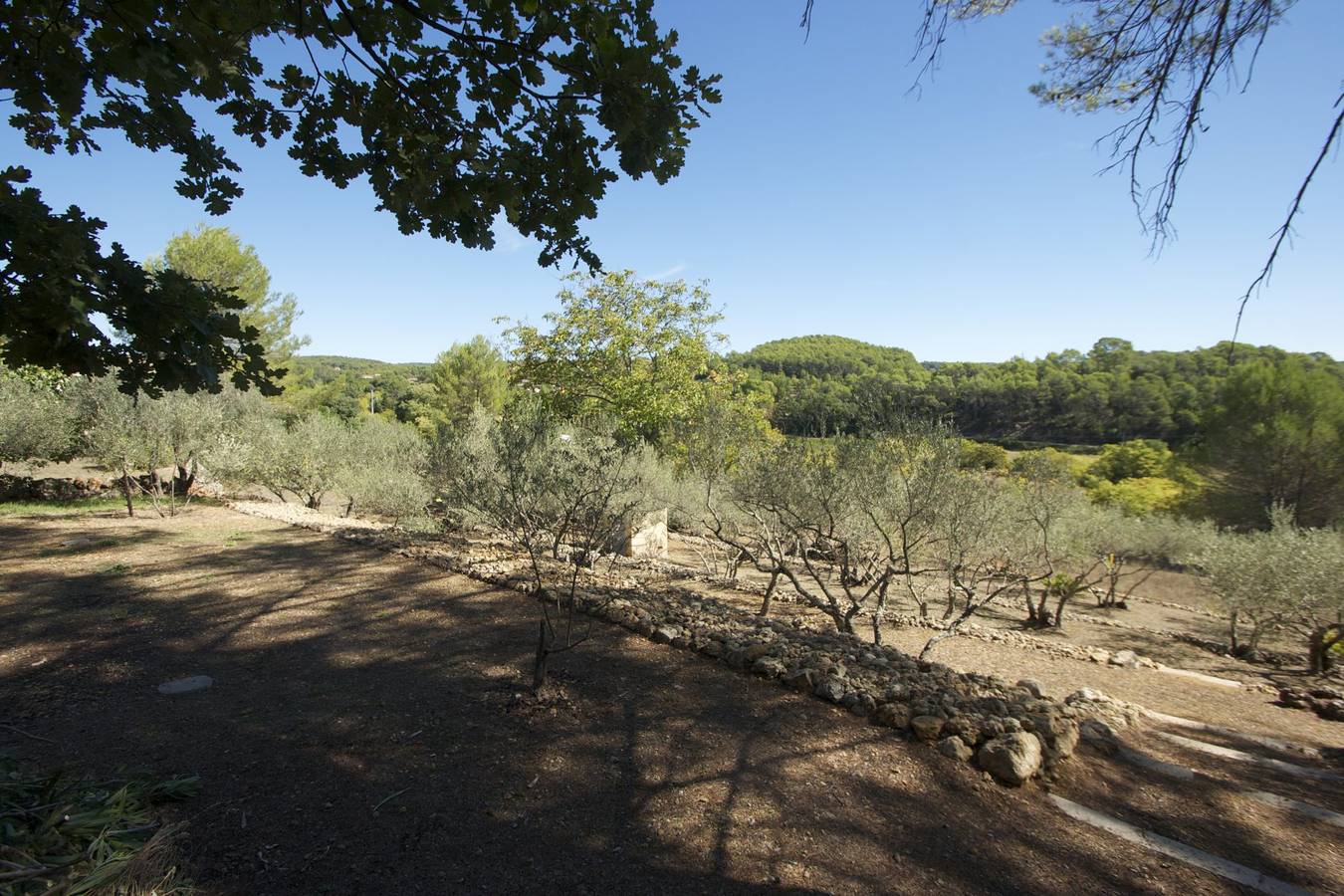 La Farigoulette in Saint-Antonin-du-Var, Région de Brignoles