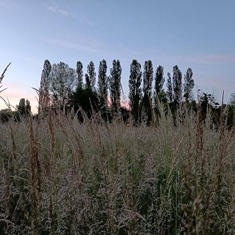 Gîte des Prés de Garnes - Chambre Bleuet in Senlisse, Parc naturel régional de la Haute Vallée de Chevreuse