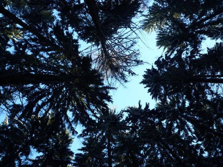 Ferienhaus für 11 Personen, mit Garten und Whirlpool, kinderfreundlich in der Oberlausitz - 3