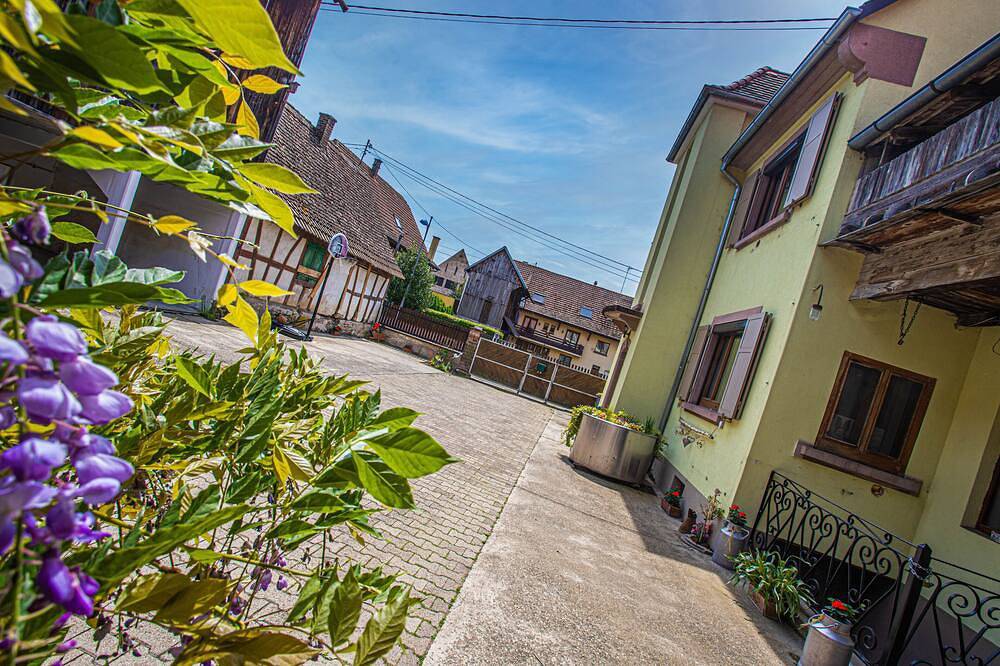 Grand gîte**** jusqu'à 14 personnes prox Europapark in Boofzheim, Région de Sélestat-Erstein