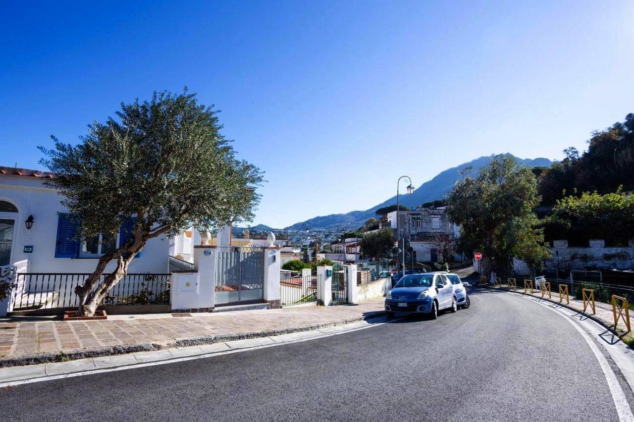 Ganze Wohnung, Casa Restituta in Lacco Ameno, Ischia