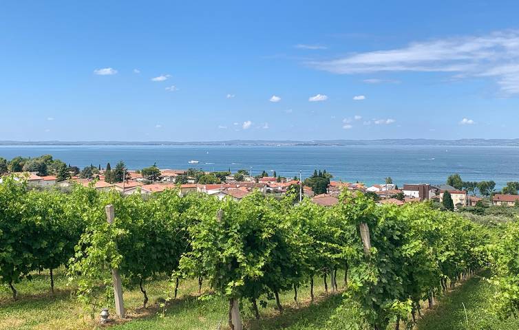 Ferienwohnung für 3 Personen, mit Pool, mit Haustier in Bardolino - 4