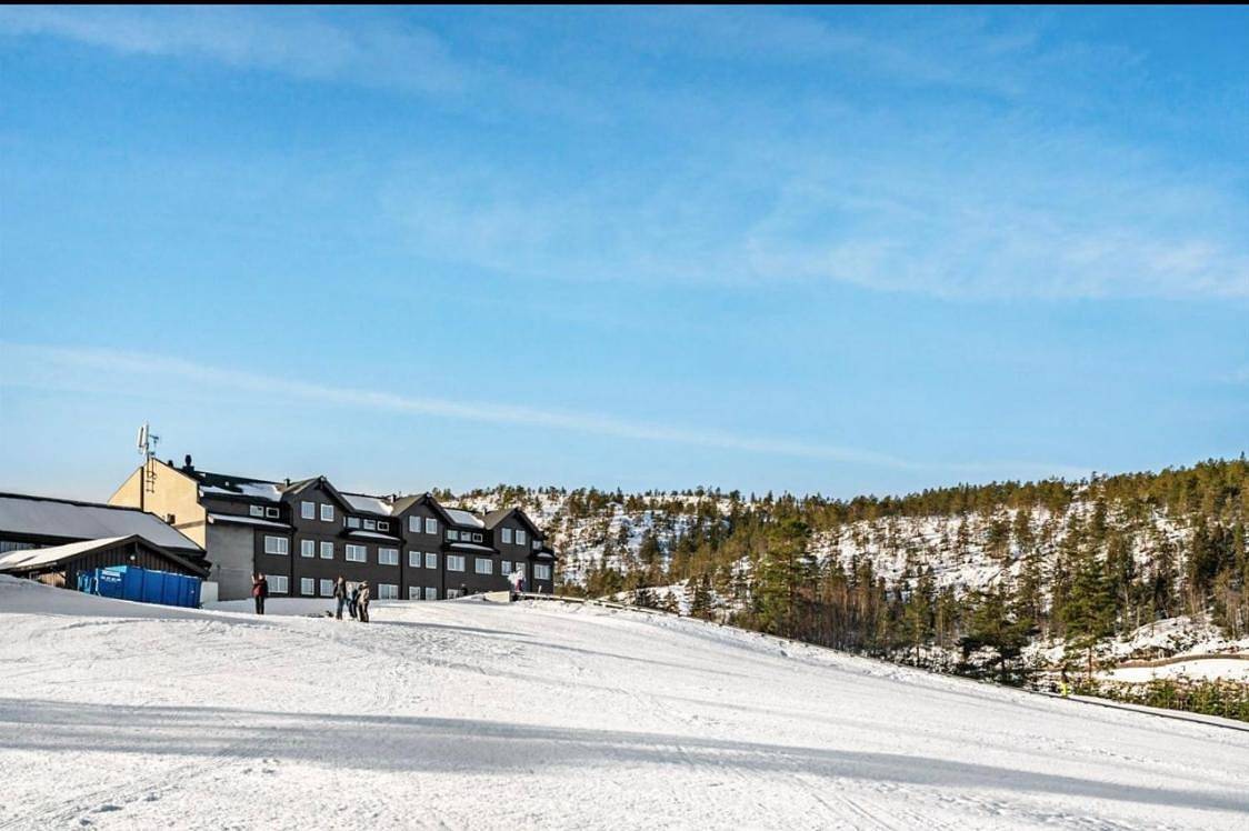 Ganze Wohnung, Topp Leilighet ski inn ski out Gautefall in Drangedal