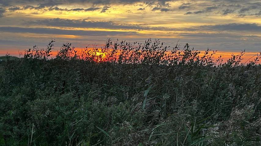 Location de vacances pour 5 personnes à Ebeltoft - 2