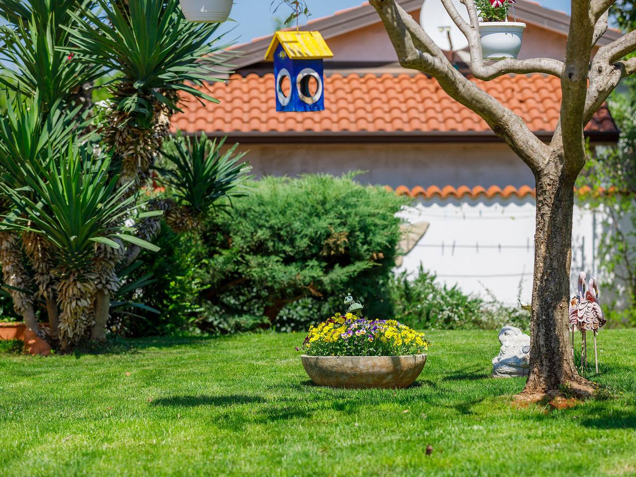 Appartamento intero, Tiziana in Umago, Umago e dintorni