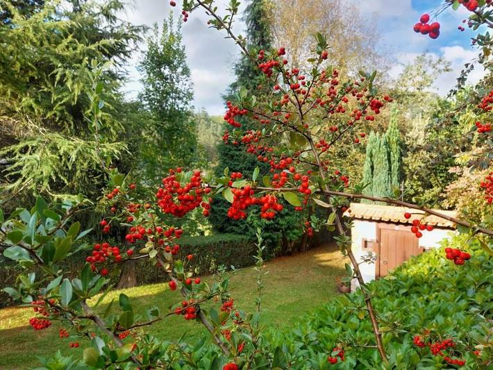 Casa rural para 7 personas, con vistas y jardín, Se admiten mascotas en Valle del Pas - 3