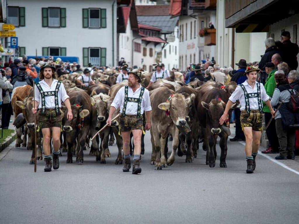 Ferienwohnung mit 1 Schlafzimmer in Wertach, Bayerisch Schwaben