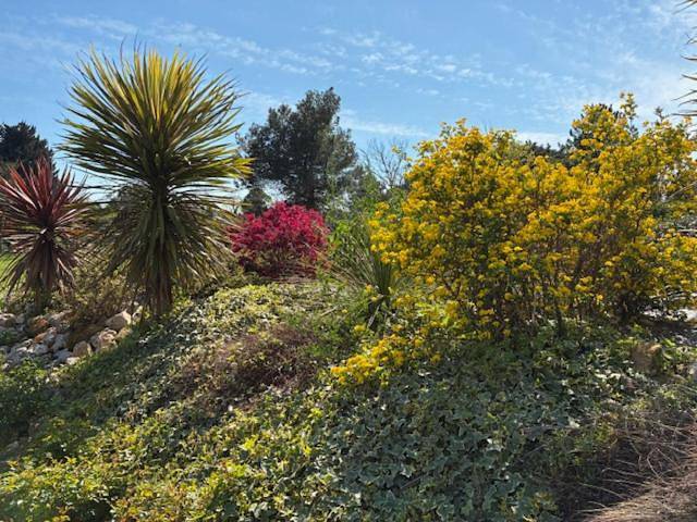 Chambre d’hôte pour 2 personnes, avec jardin ainsi que vue et piscine à Cavaillon - 4