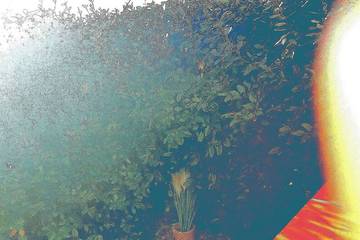 Gîte pour 4 personnes, avec jacuzzi et piscine à Castelnau-d'Estrétefonds