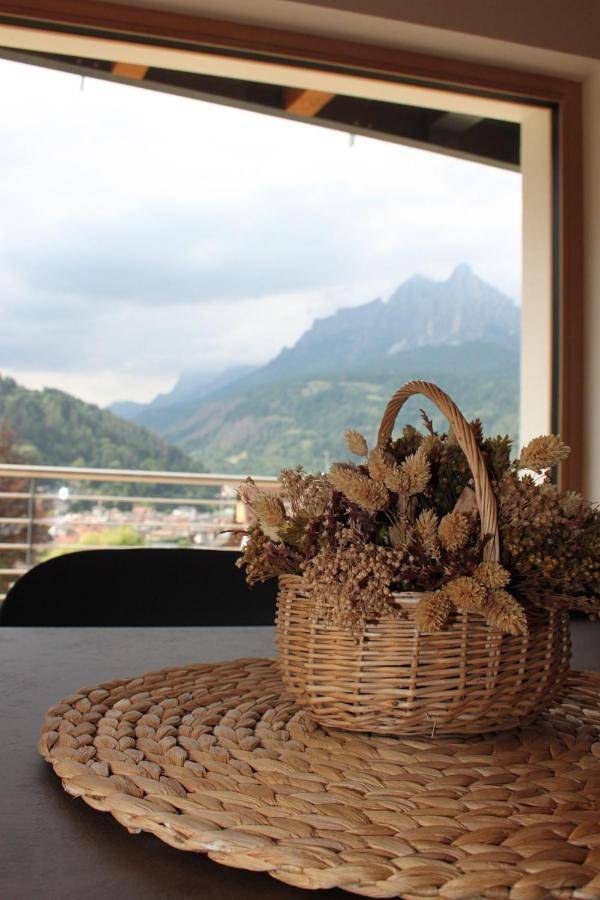 Gîte pour 6 personnes, avec vue et jardin à Transacqua - 2