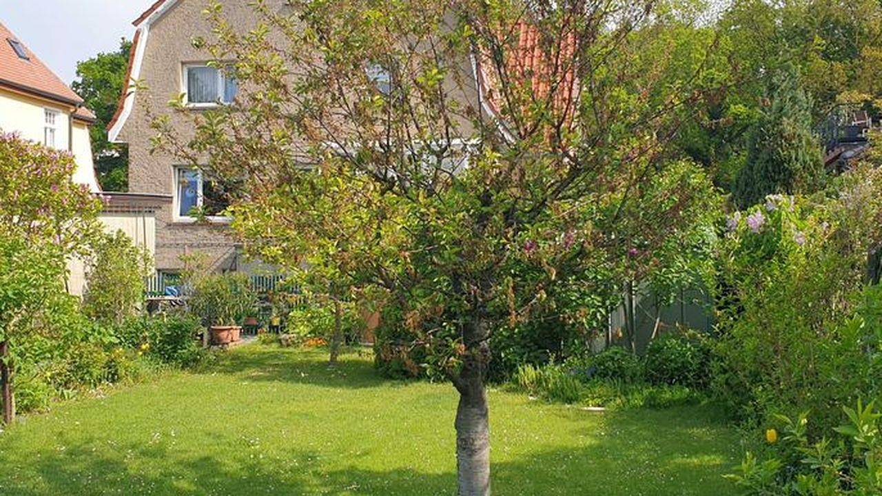 Apartamento vacacional entero, Ferienwohnung für 2 Personen (35 m²) in Rostock in Warnemünde Strand, Warnemünde