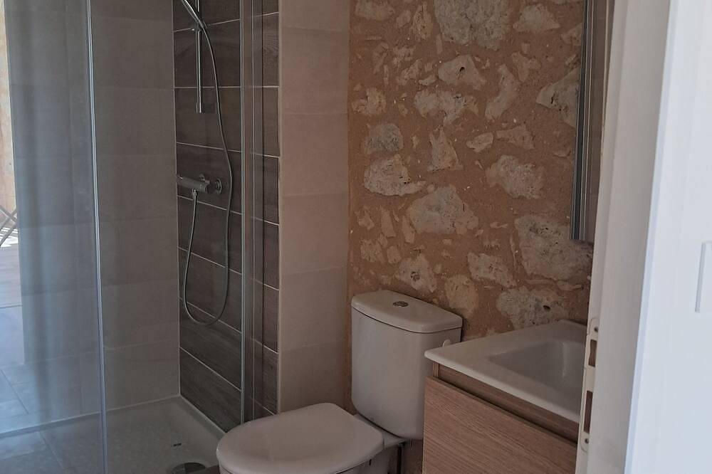 Grand gîte en pierre en pleine nature pour 12 personnes, piscine et boulodrome. in Sarrant, Gers