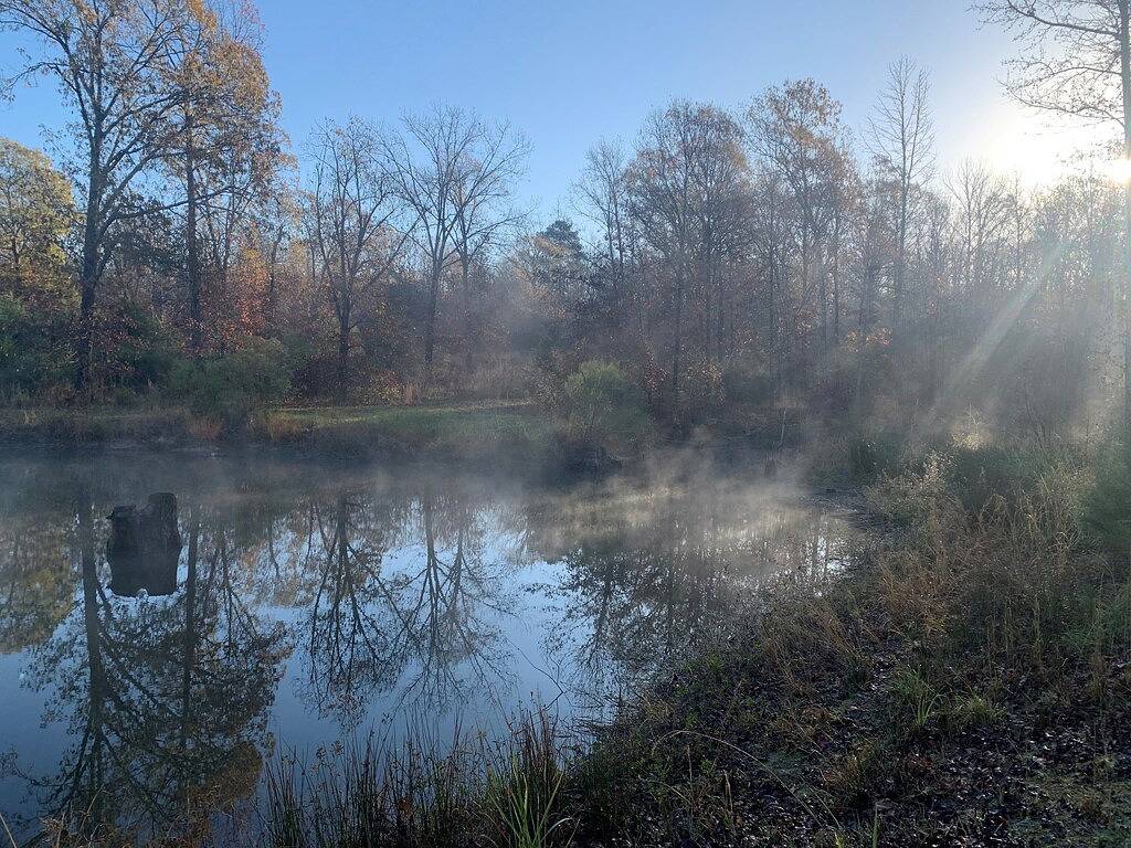 Hilltop Hideaway -1500+ sq/ft home - views of private lake on 42 beautiful acres in Van Zandt County