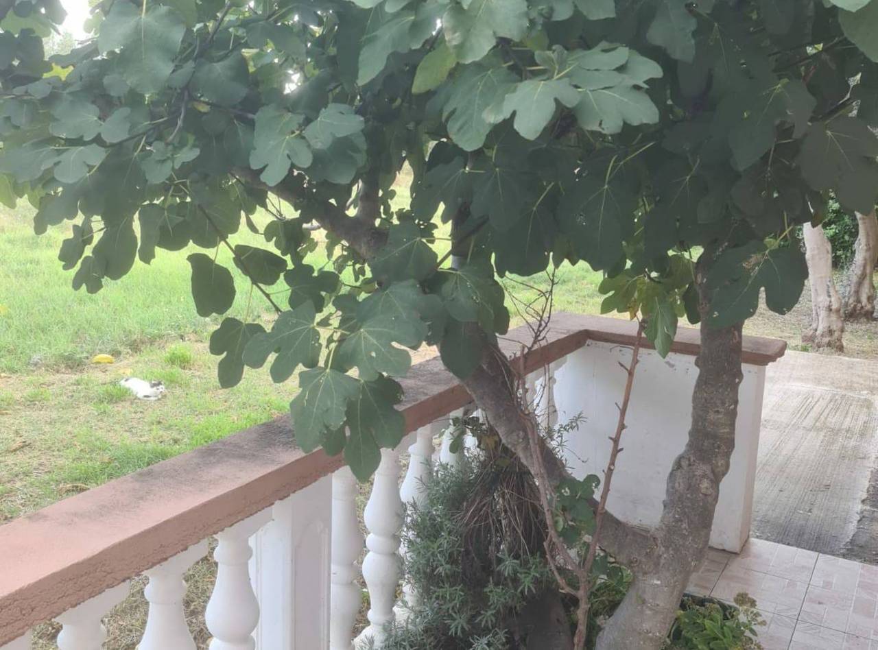 Ganzes Studio, Studio für 3 Personen in Vrsi, Zadar